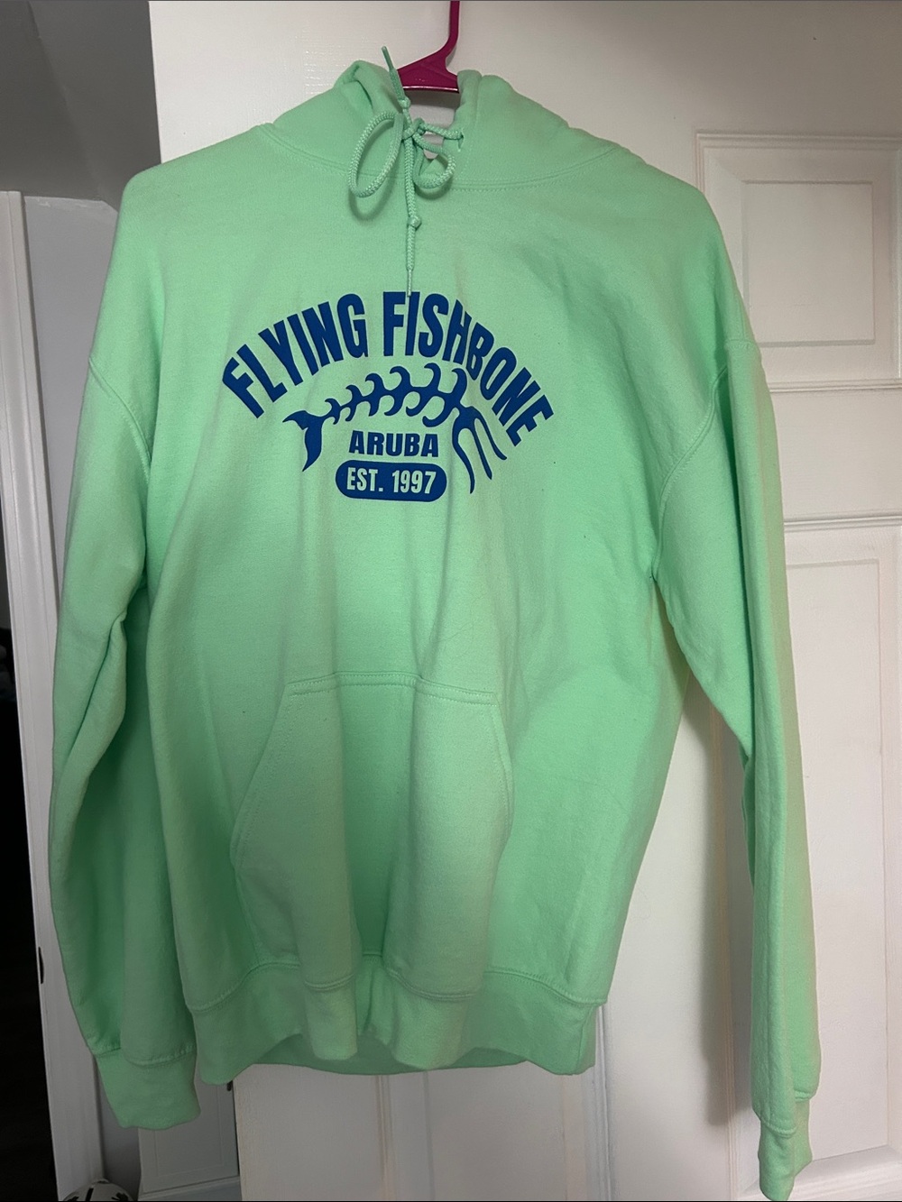 Gildan Mint Green Pullover Hoodie with Drawcords - Picture 1 of 2